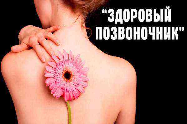 [Екатерина Федорова] Здоровый позвоночник (2019)_0.jpg